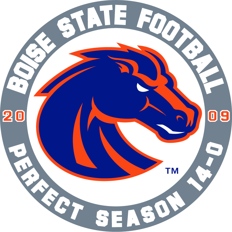 Boise State Broncos 2009 Special Event Logo DIY iron on transfer (heat transfer)